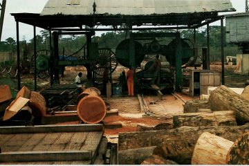 Image result for sawmill problems