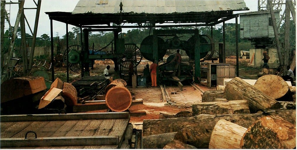 Circle Blade Sawmill Mill Problems; What to Do - Sawmill Equipment