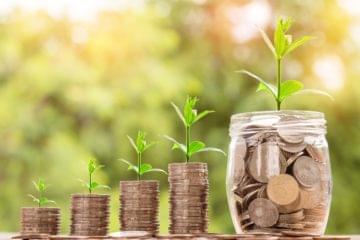 money grows as tree grows